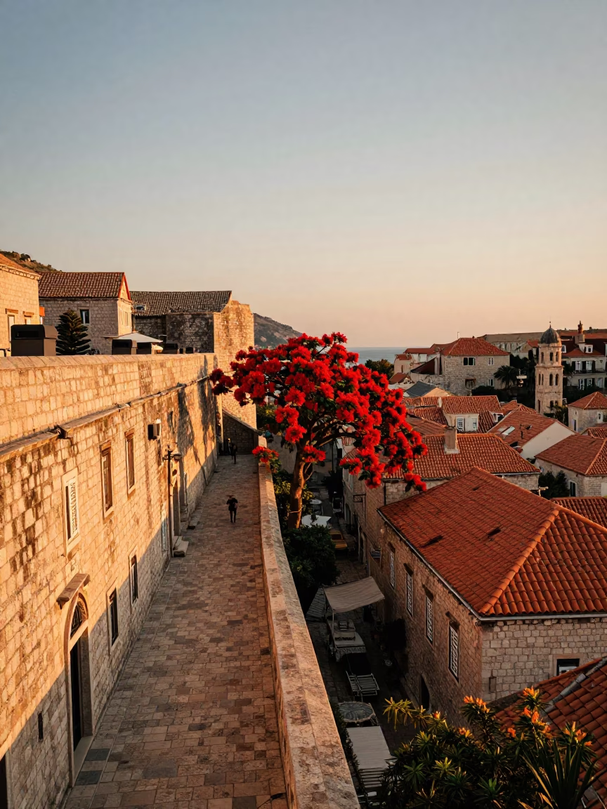 Sunset over Dubrovnik Old Town Walls with Flame Tree Bloom and Coastal Life in in Dubrovnik, Croatia