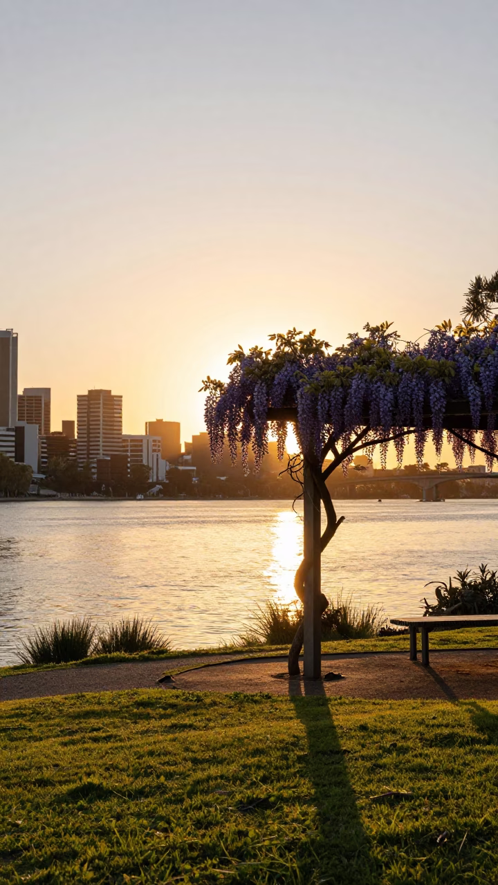 Sunset Over Perth Riverbank With Wisteria Pergola And Local Pedestrians in in Perth, Western Australia, Australia