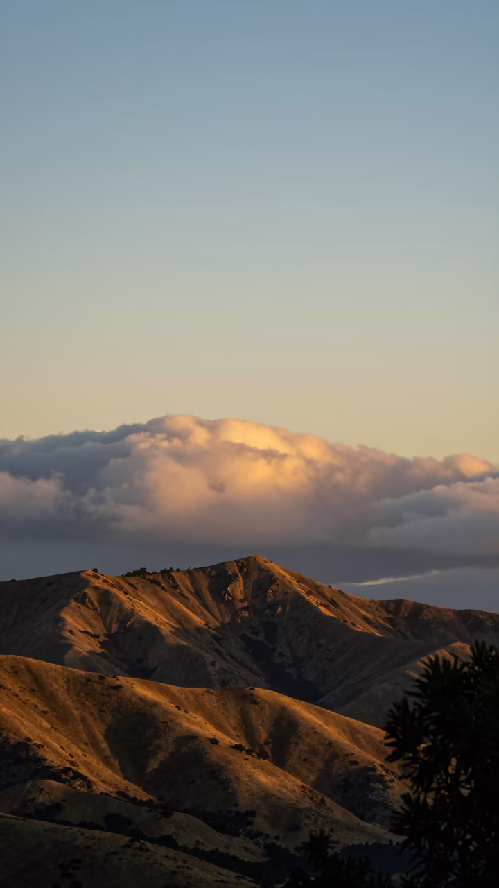 Sunset Sea of Clouds Over New Zealand Foothills in from a ridge above layered foothills in New Zealand