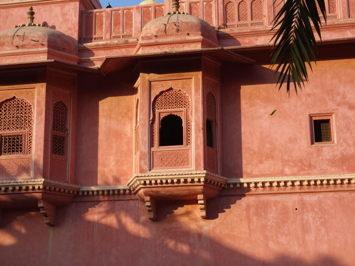 Sunset Shadows of Jaipur Pink City Architecture and Leaf Patterns on Historic Stone Wall in in Jaipur, India