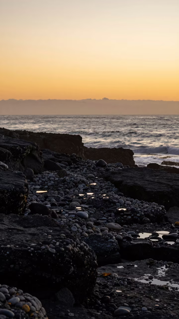 Sunset Silhouette Fossil Beach Terrace Cape Town in near Muizenberg, Cape Town