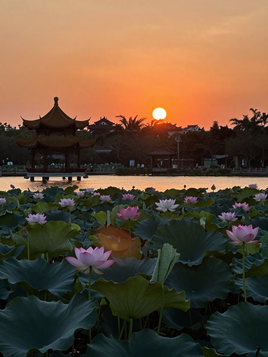 Sunset silhouette of Kaohsiung Lotus Pond with colorful lotus flowers and traditional Chinese pavilion in in Kaohsiung, Taiwan