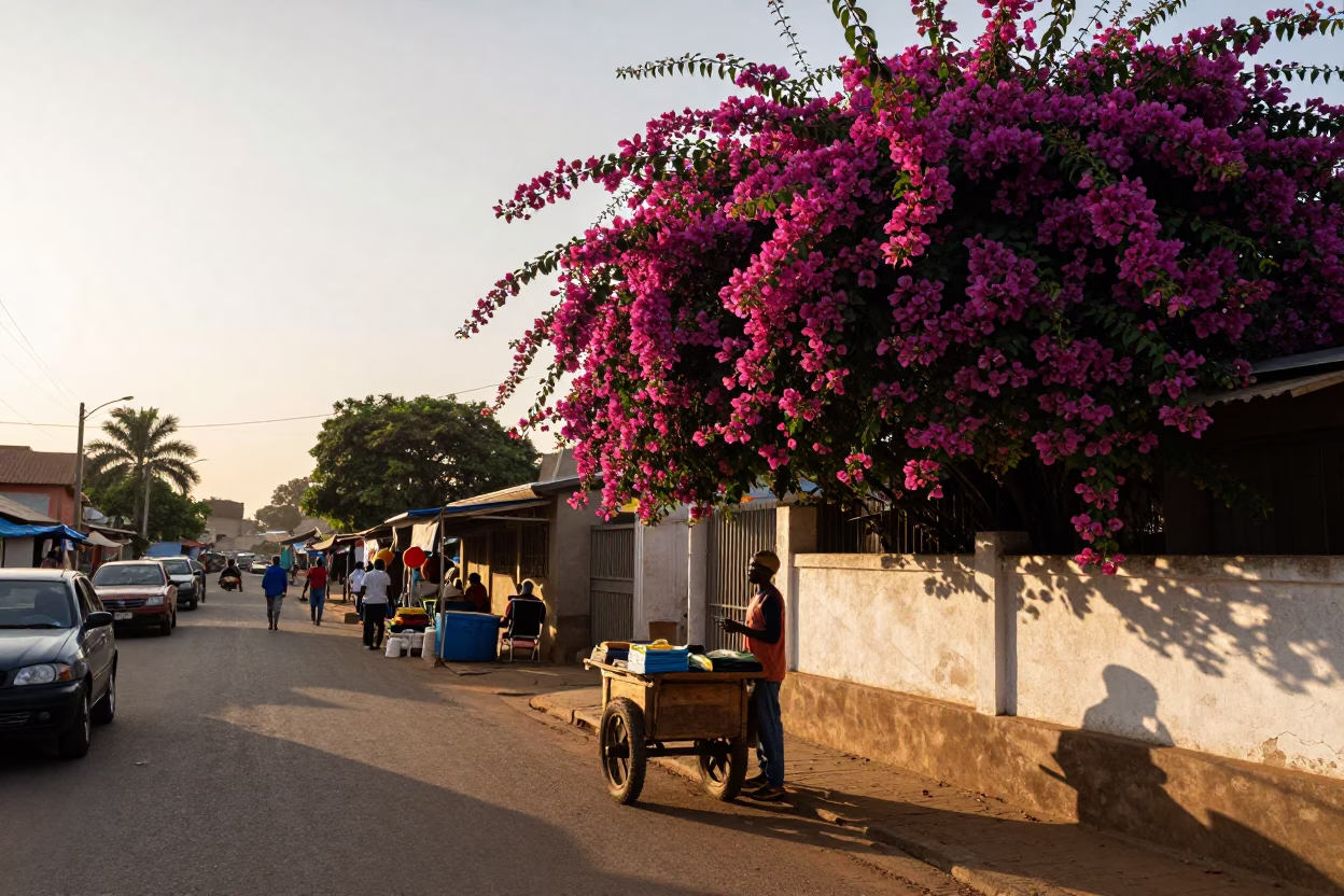 Sunset Street Scene in Accra Ghana with Bougainvillea and Local Market Activity in in Accra, Ghana