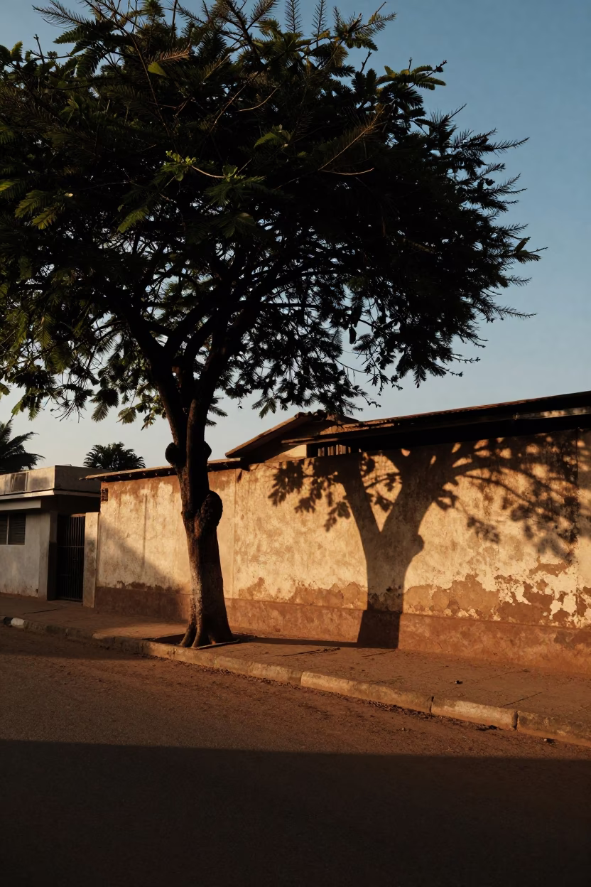 Sunset Street Scene in Accra Ghana with Tree and Dusty Wall Details in in Accra, Ghana