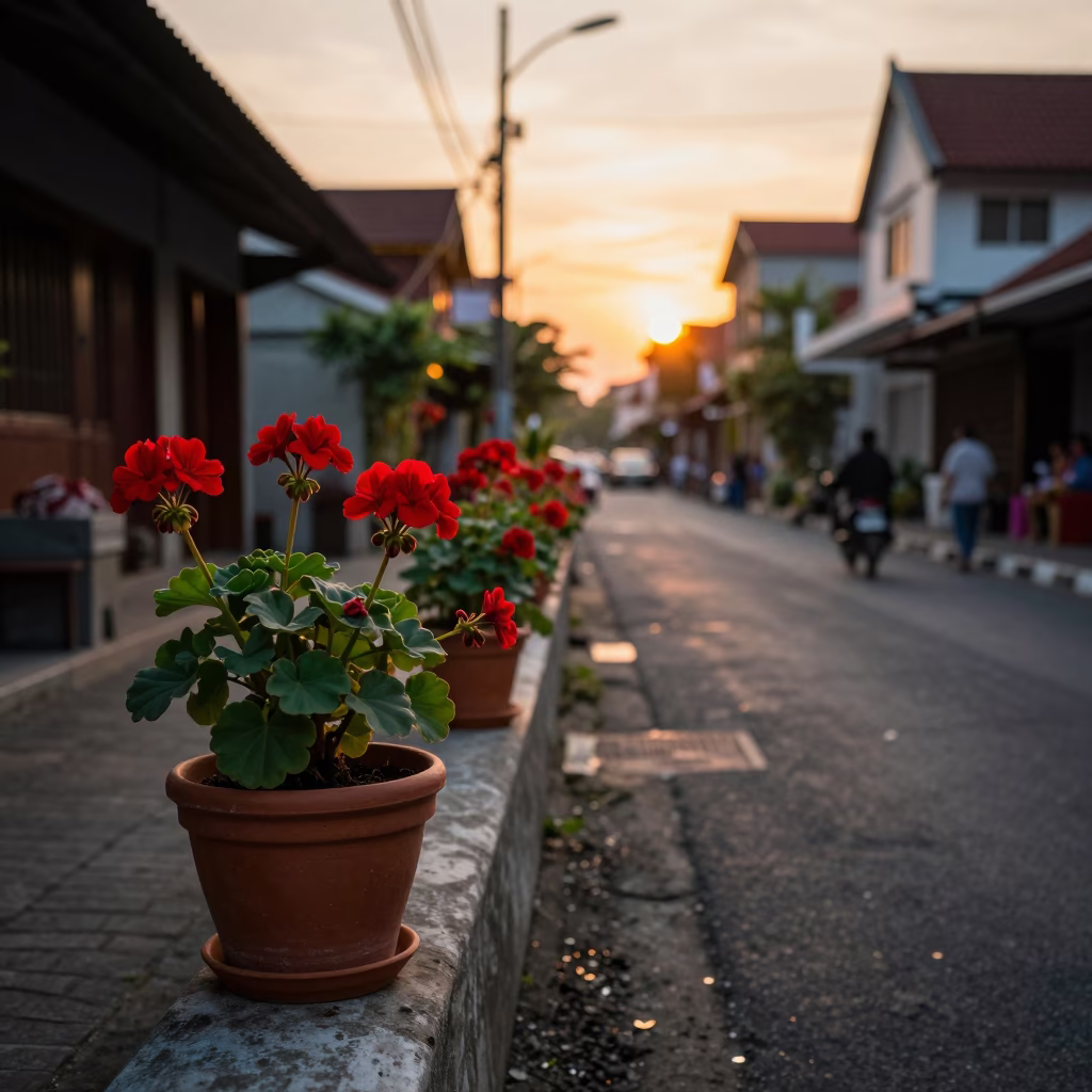 Sunset street scene in Denpasar Indonesia with potted geraniums and traditional architecture in in Denpasar, Indonesia