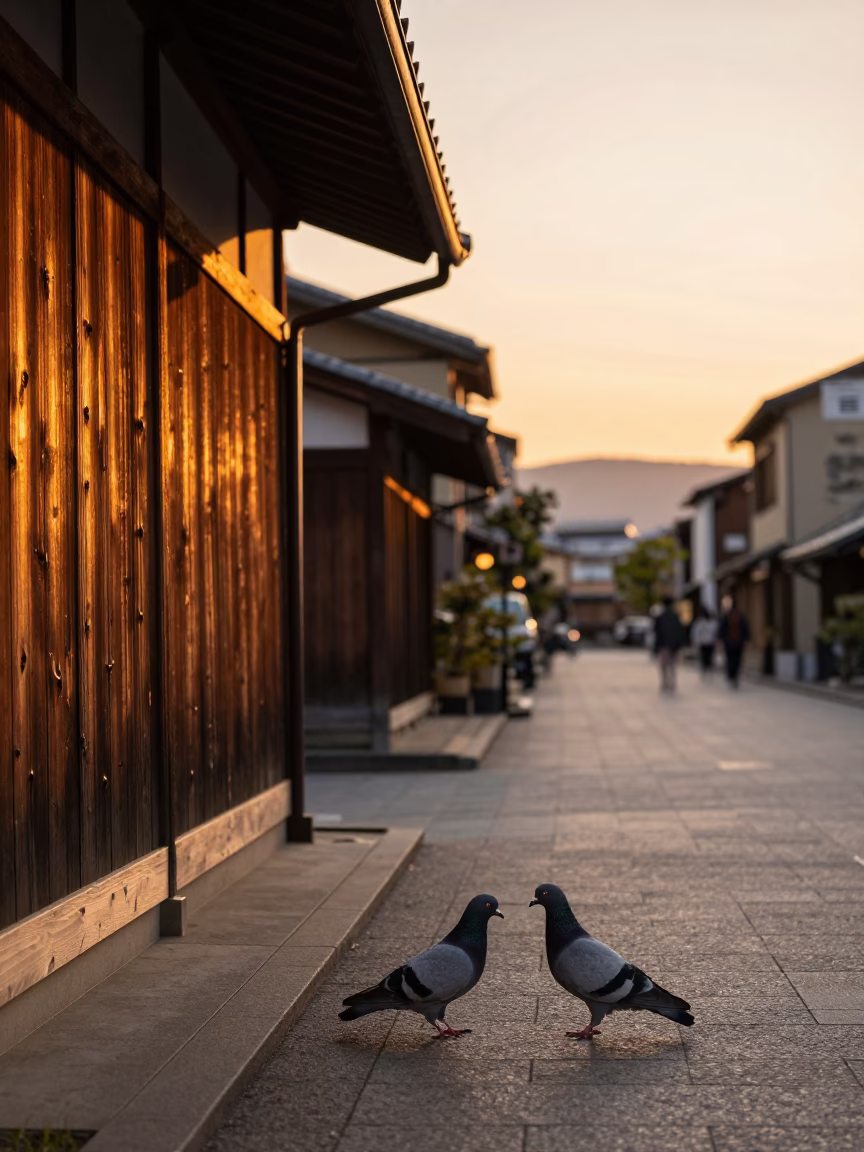 Sunset street scene in Fukuoka Japan with pigeons and traditional wooden bench in in Fukuoka, Japan