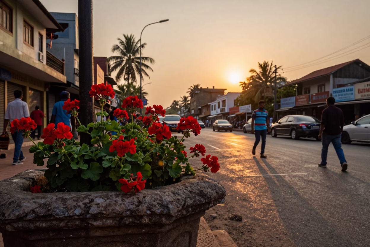 Sunset Street Scene in Kochi India with Geraniums and Urban Life in in Kochi, India