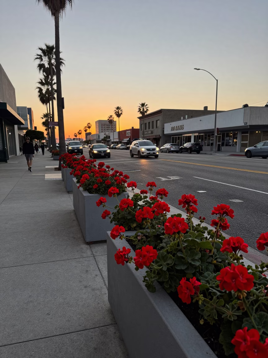 Sunset street scene in Los Angeles with geraniums and urban details in in Los Angeles, California, United States