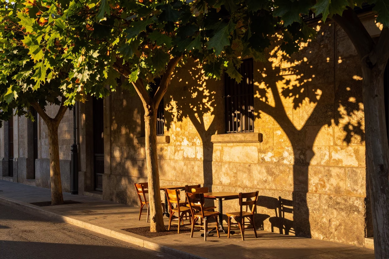 Sunset Street Scene in Madrid Spain with Leaf Shadows and Vintage Details in in Madrid, Spain