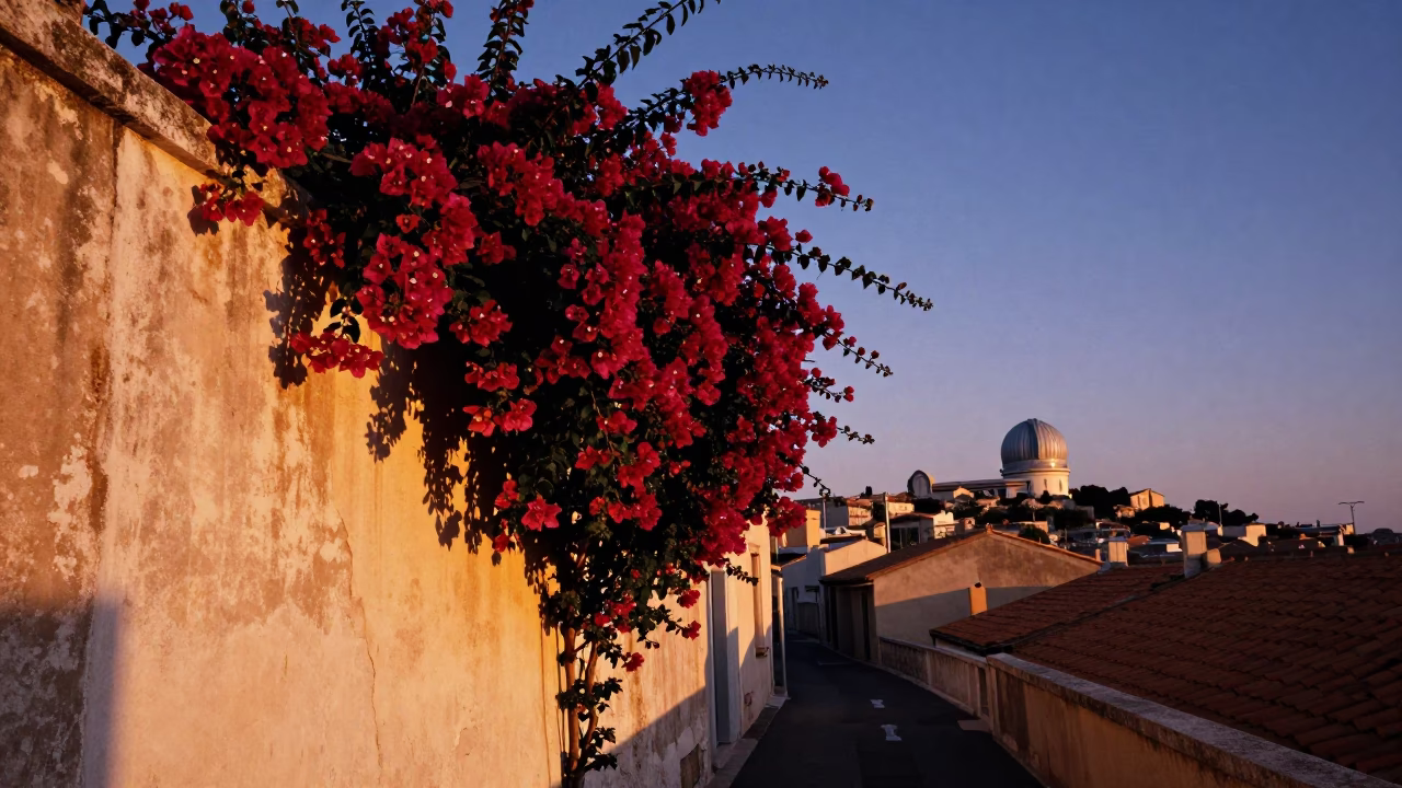 Sunset street scene in Marseille France with bougainvillea cascade and observatory dome in in Marseille, France