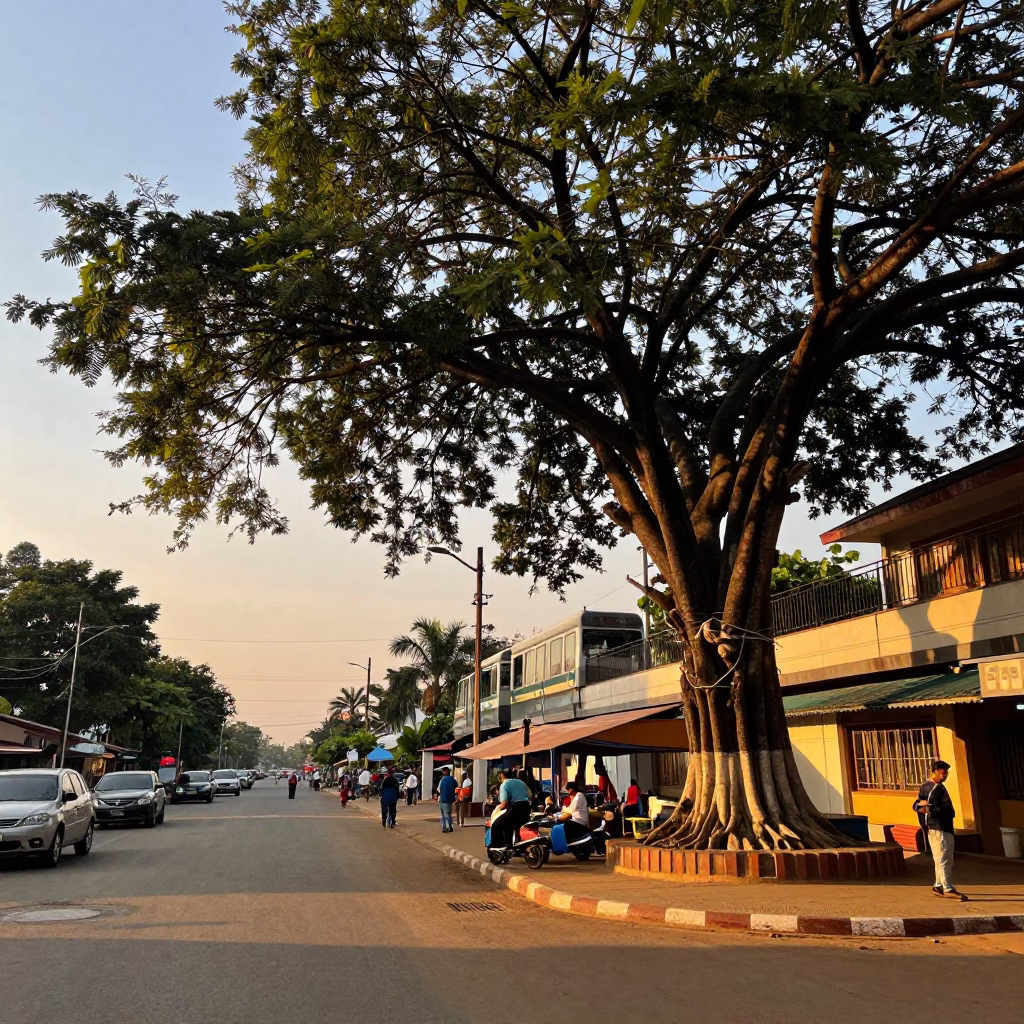 Sunset Street Scene in Phnom Penh Cambodia with Monorail and Kapok Tree in in Phnom Penh, Cambodia
