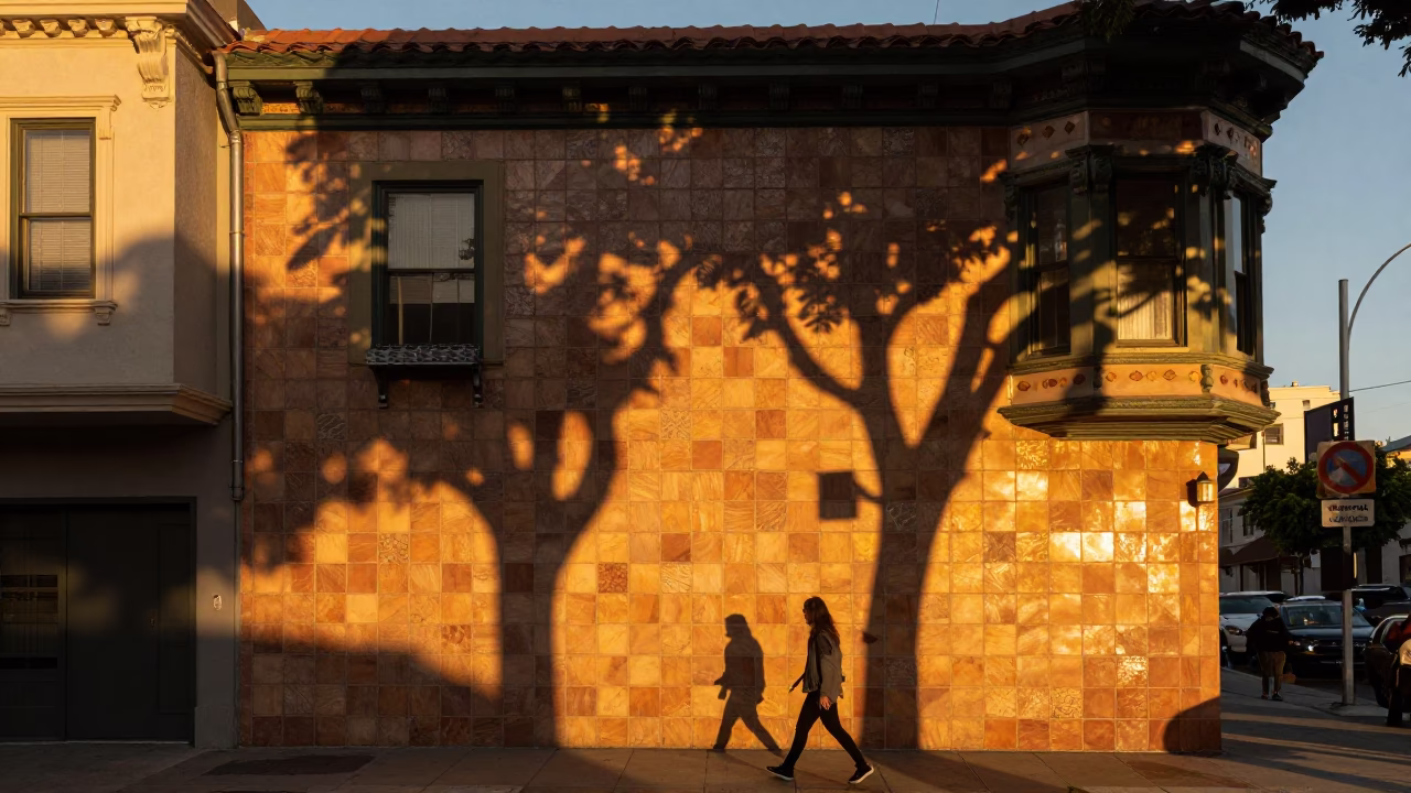 Sunset Street Scene in San Francisco with Leaf Shadows on Tiled Floor in in San Francisco, California, United States
