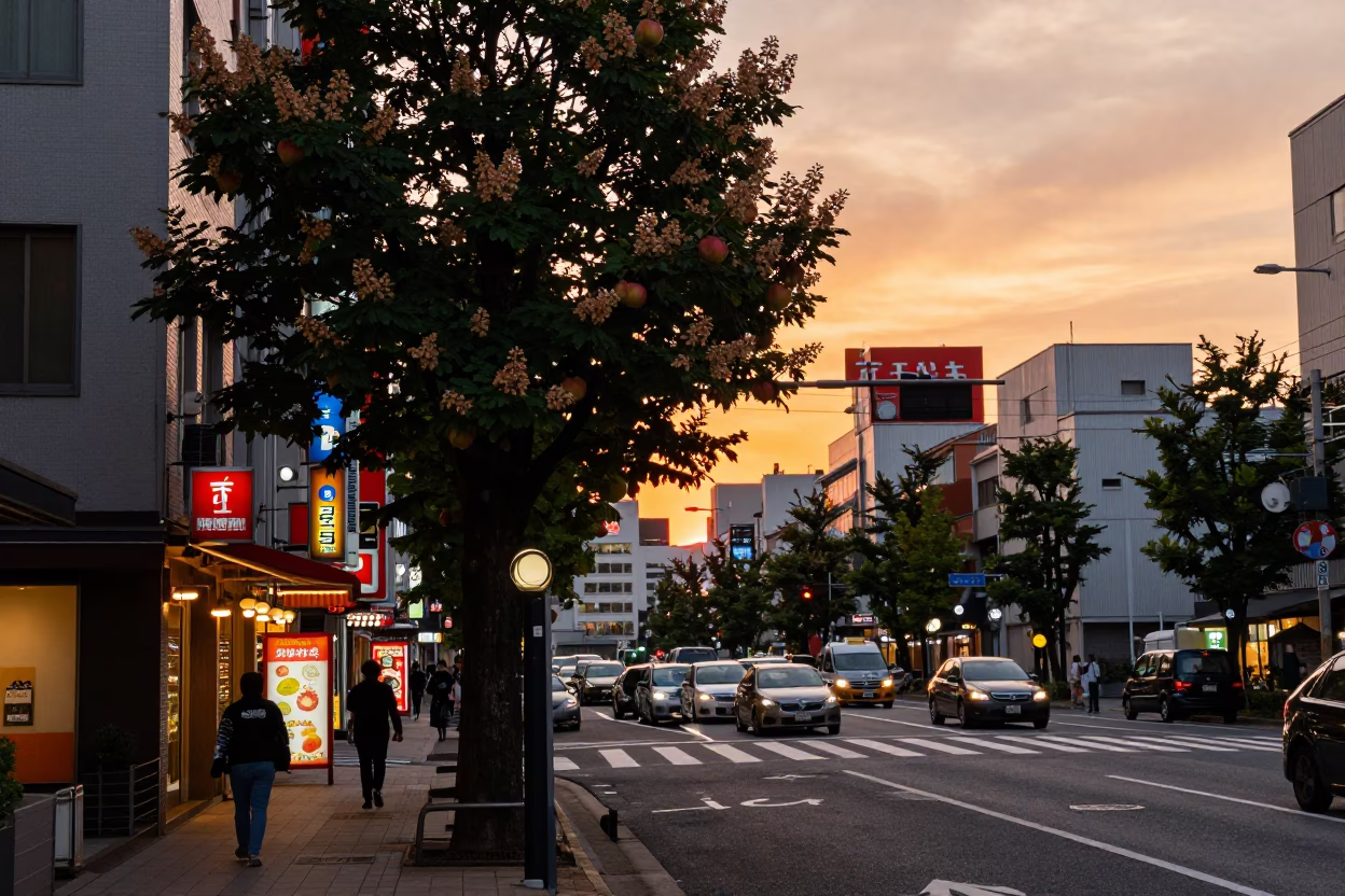 Sunset street scene in Tokyo Japan with chestnut tree and apples in in Tokyo, Japan