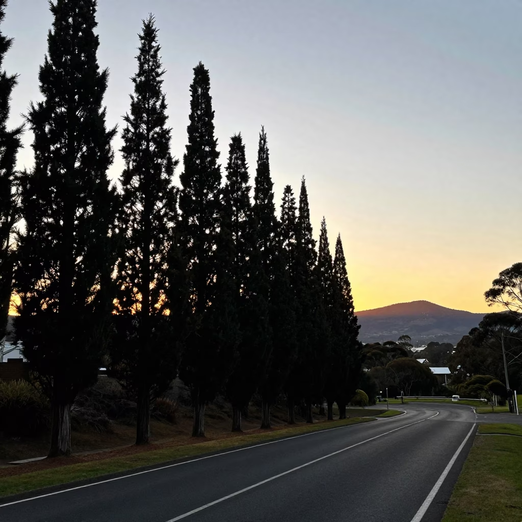 Sunset view of Hobart Tasmania Australia with cypress trees and mountain skyline in in Hobart, Tasmania, Australia
