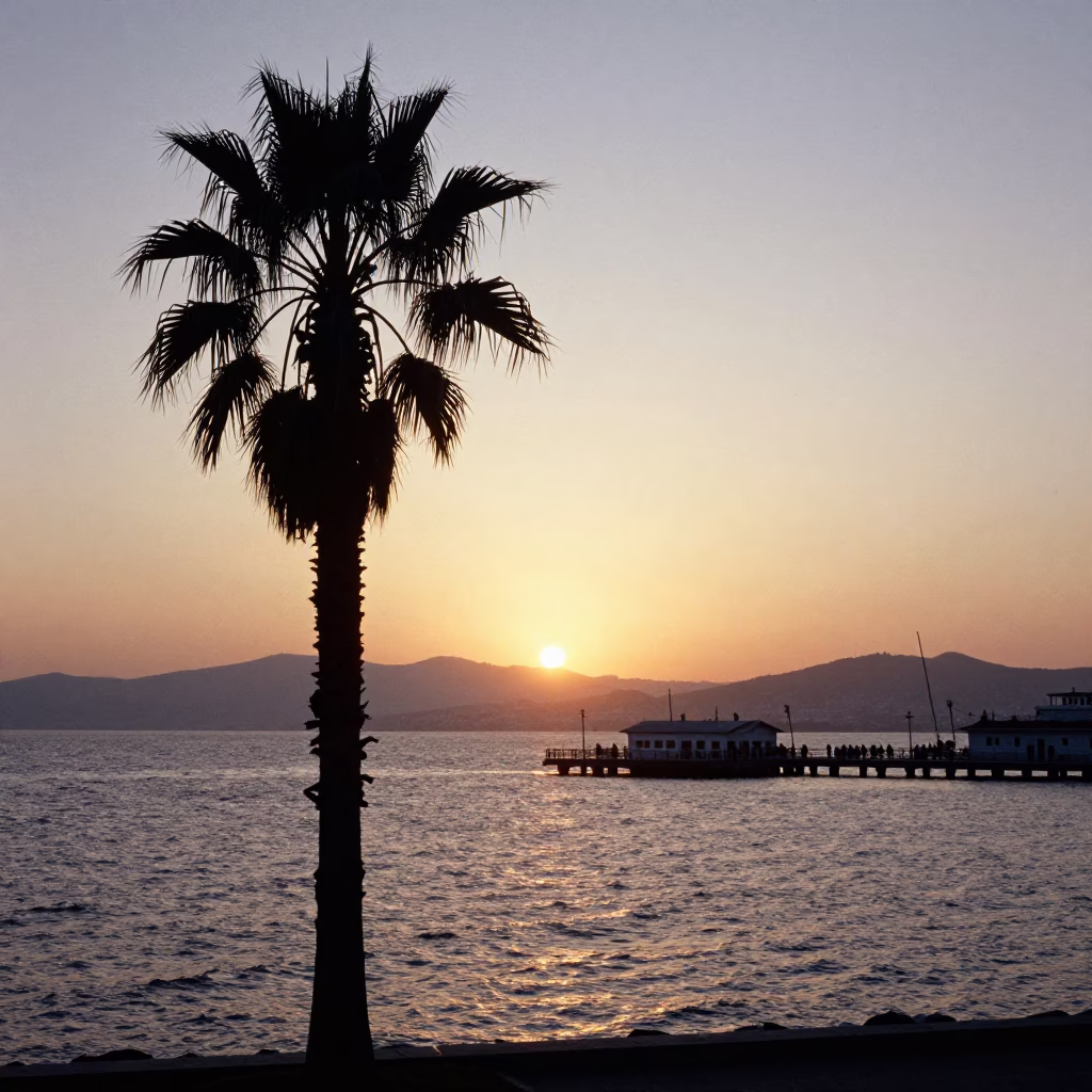 Sunset View of Izmir Bay and Karşıyaka Pier with Palm Tree Silhouette in in Izmir, Turkey