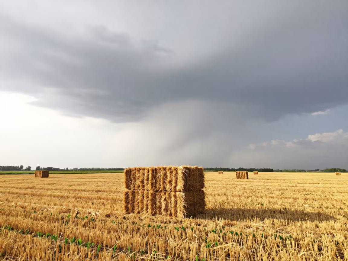 Supercell Mesocyclone Over Shaanxi Farmland Hay Bales in beside stacked hay bales in Shaanxi