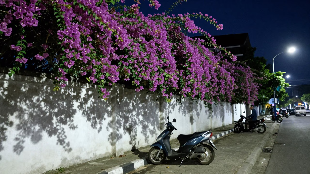 Surabaya Night Street Scene with Bougainvillea and Scooter Under Deep Night Sky in in Surabaya, Indonesia