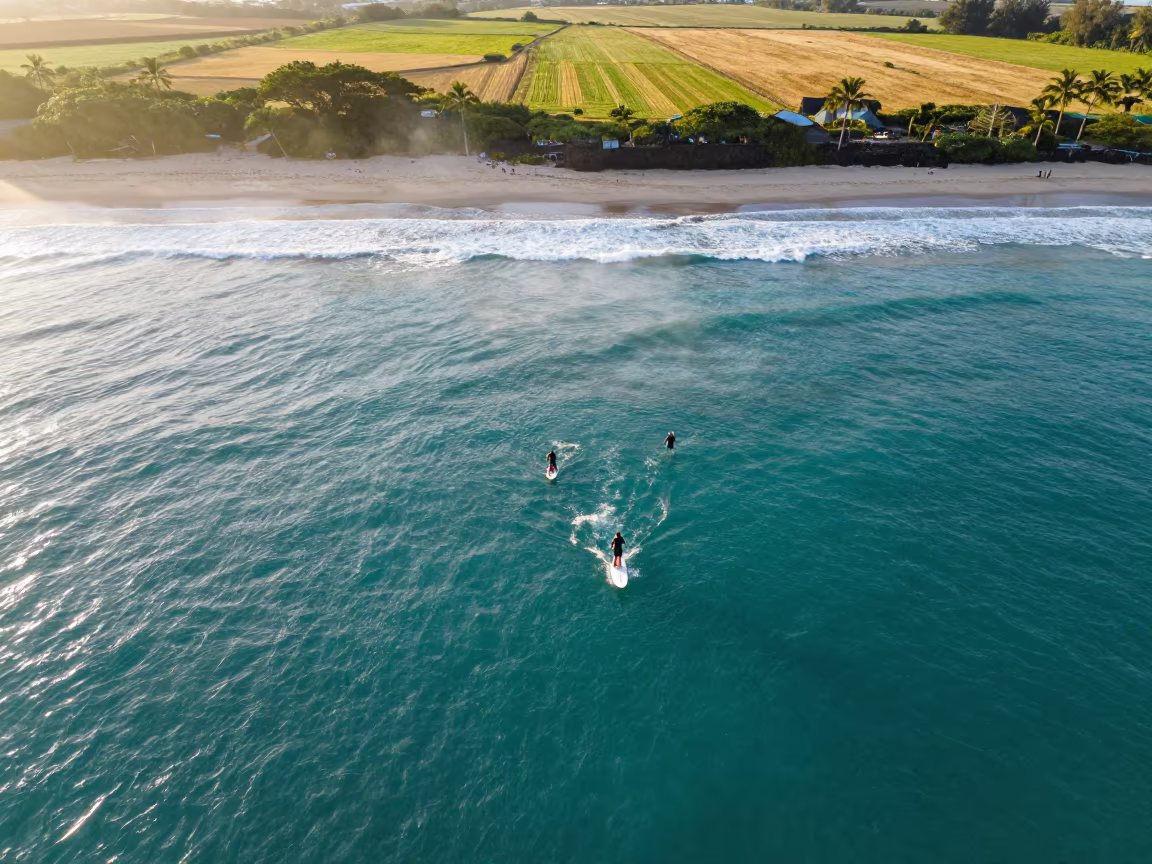 Surfers Waiting Above Ningbo Coast in near open fields near Ningbo