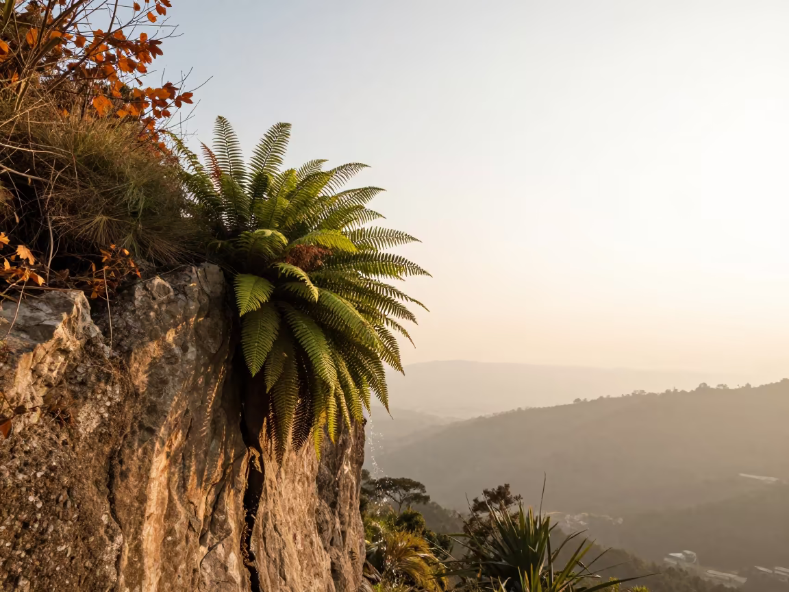 Surreal Fern Waterfall Cliff Edge Medellín in along a salt-sprayed cliff edge near Medellín