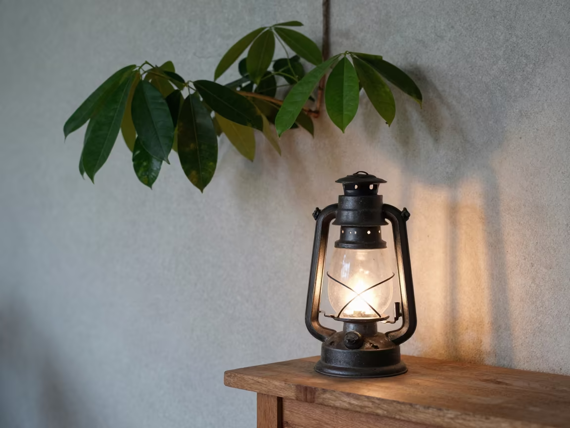 Surreal Lantern and Horizontal Tree in Seychelles in on a wooden workbench in Victoria Seychelles