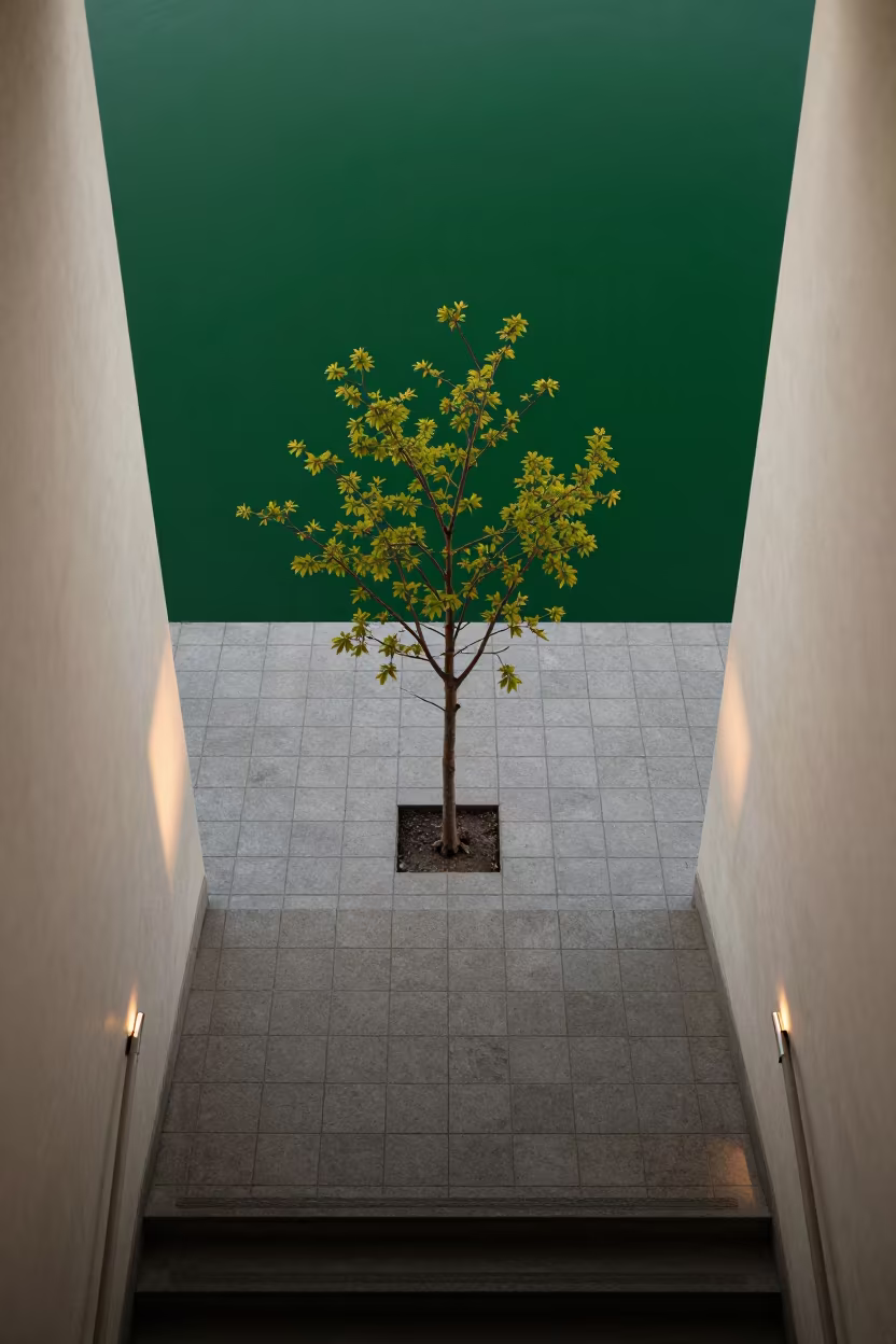 Surreal Lone Tree on Tiled Stair Hall Floor in inside a tiled stair hall in Rotorua