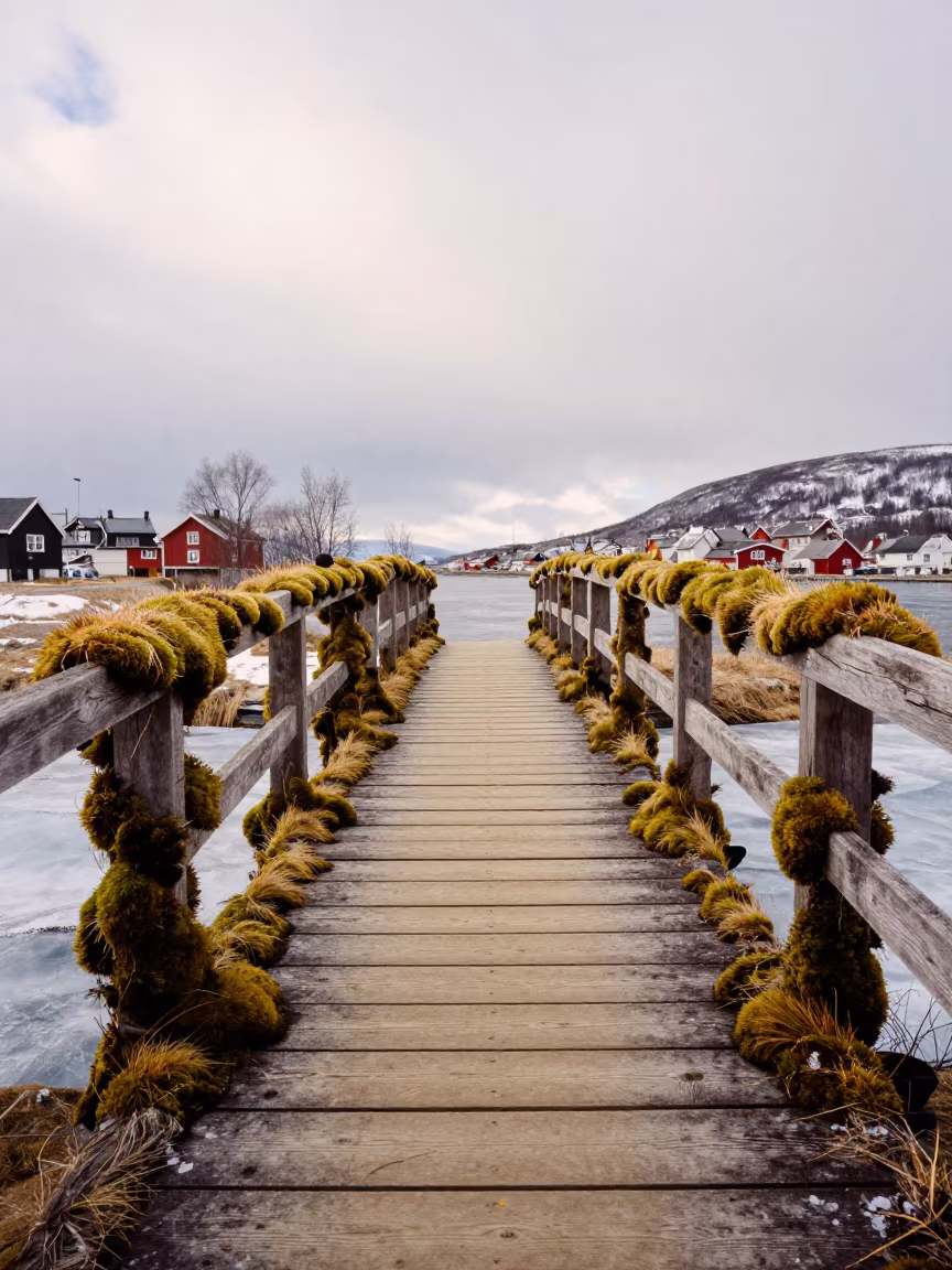 Surreal Moss Bridge Frozen Stream Tromsø in near Tromsø