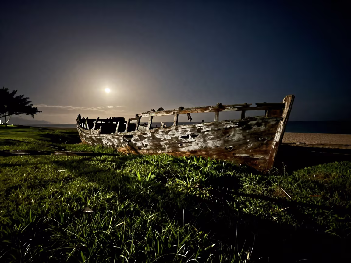 Surreal Shipwreck Midnight Honolulu Courtyard in through a courtyard reclaimed by grasses near Honolulu