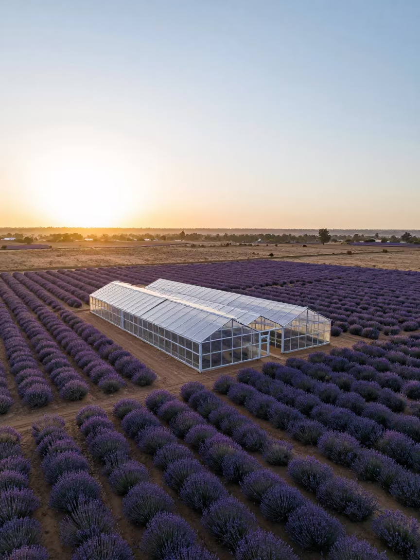 Surreal Transparent Greenhouse Rows Senegal in high over greenhouse grids in Senegal