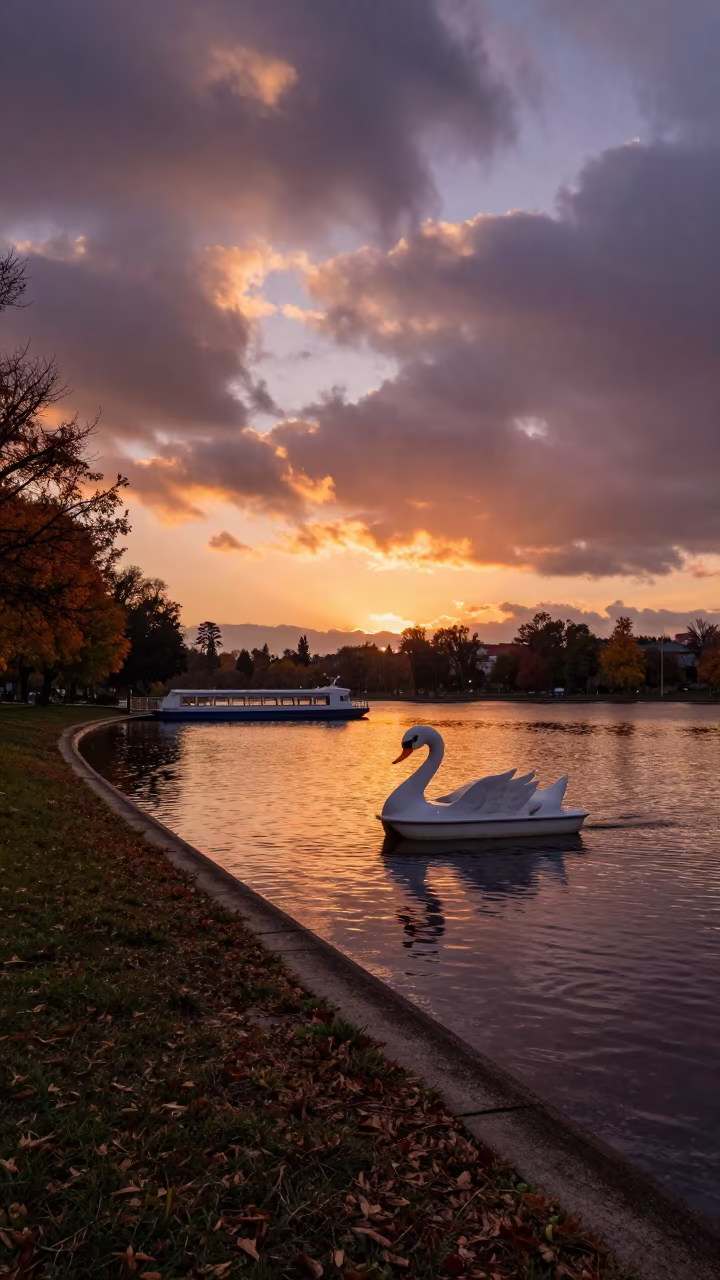 Swan Boat on Lake at Sunset with Dramatic Clouds in across a remote ferry crossing near Gold Coast