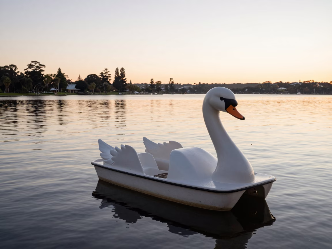 Swan Pedal Boat on Lake in Perth Western Australia After Sunrise in in Perth, Western Australia, Australia