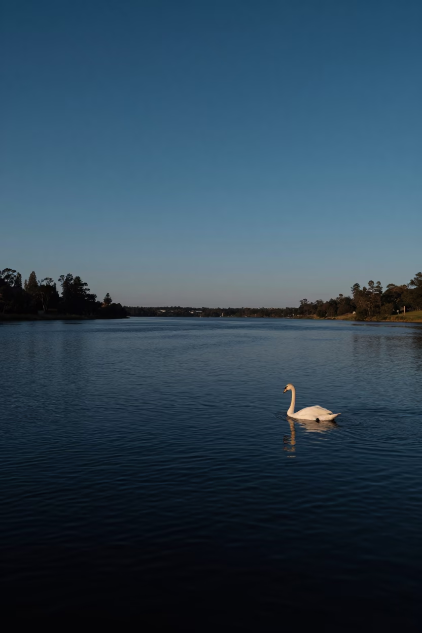Swans River Before 1970s Era in Perth in in Perth, Western Australia, Australia