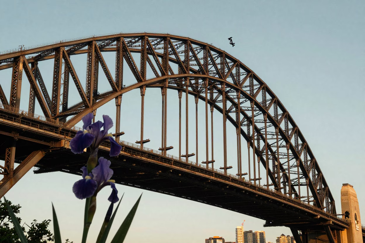 Sydney Harbour Bridge at Golden Hour with Iris Blossoms and Paint Flecks in in Sydney, New South Wales, Australia
