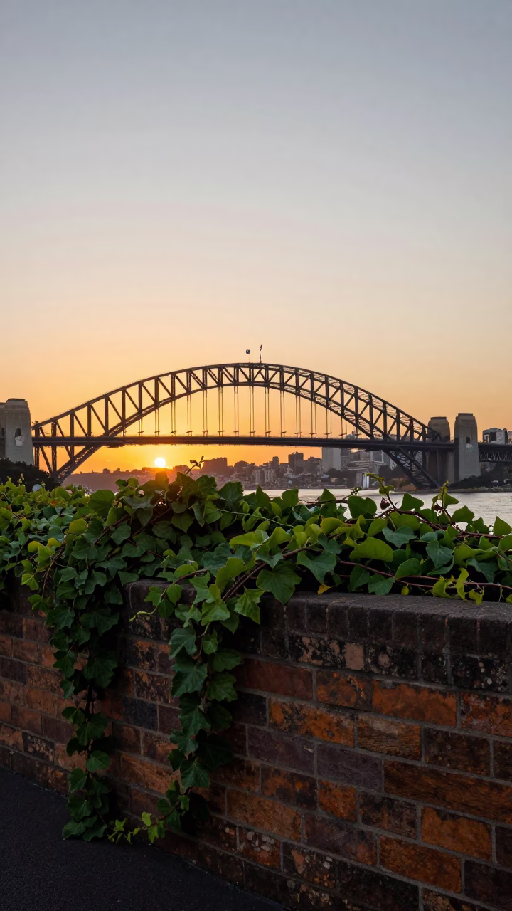 Sydney Harbour Bridge sunset view from Barangaroo with vine-covered wall in in Sydney, New South Wales, Australia