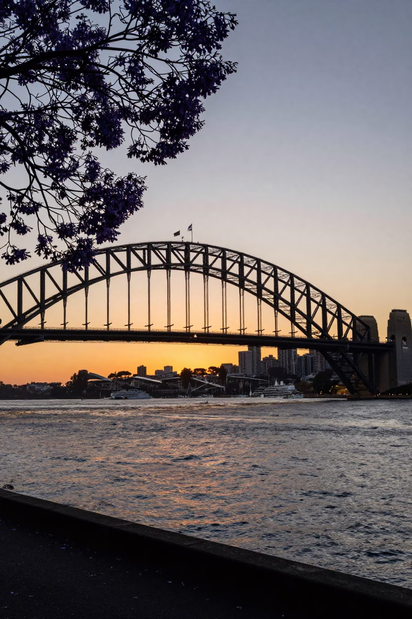 Sydney Harbour Bridge sunset view with jacaranda tree in purple bloom in in Sydney, New South Wales, Australia