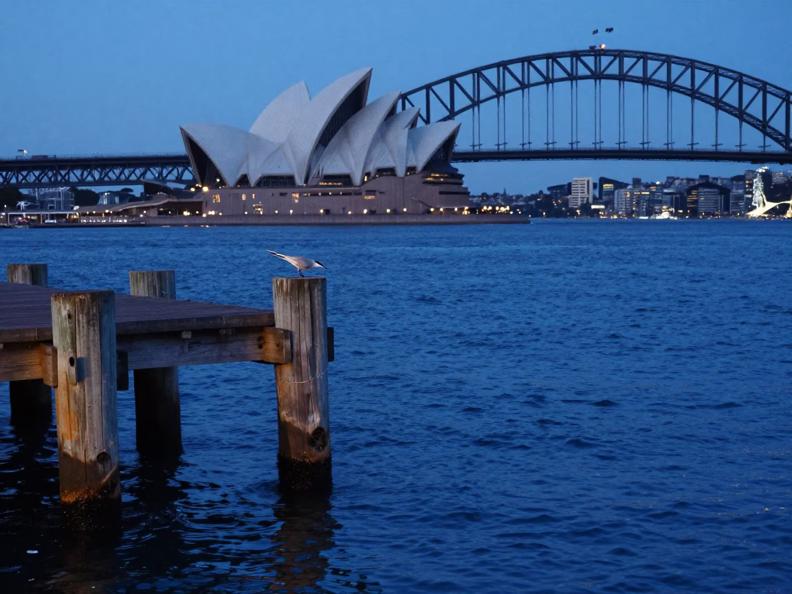 Sydney Harbour Evening Blue Hour Tern Diving Near Historic Wharf in in Sydney, New South Wales, Australia