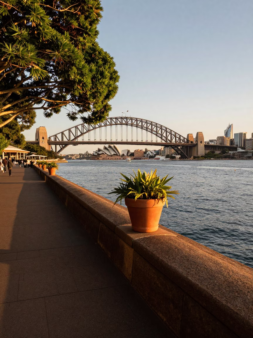 Sydney Harbour Evening Light with Greenery and Urban Waterfront Details in in Sydney, New South Wales, Australia