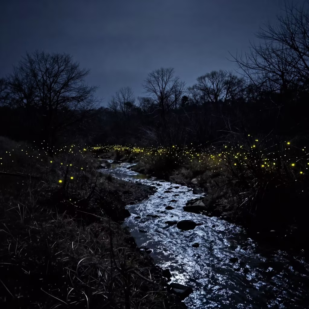 Synchronized Fireflies Along Winter Creek in from a quiet alpine saddle in Oklahoma
