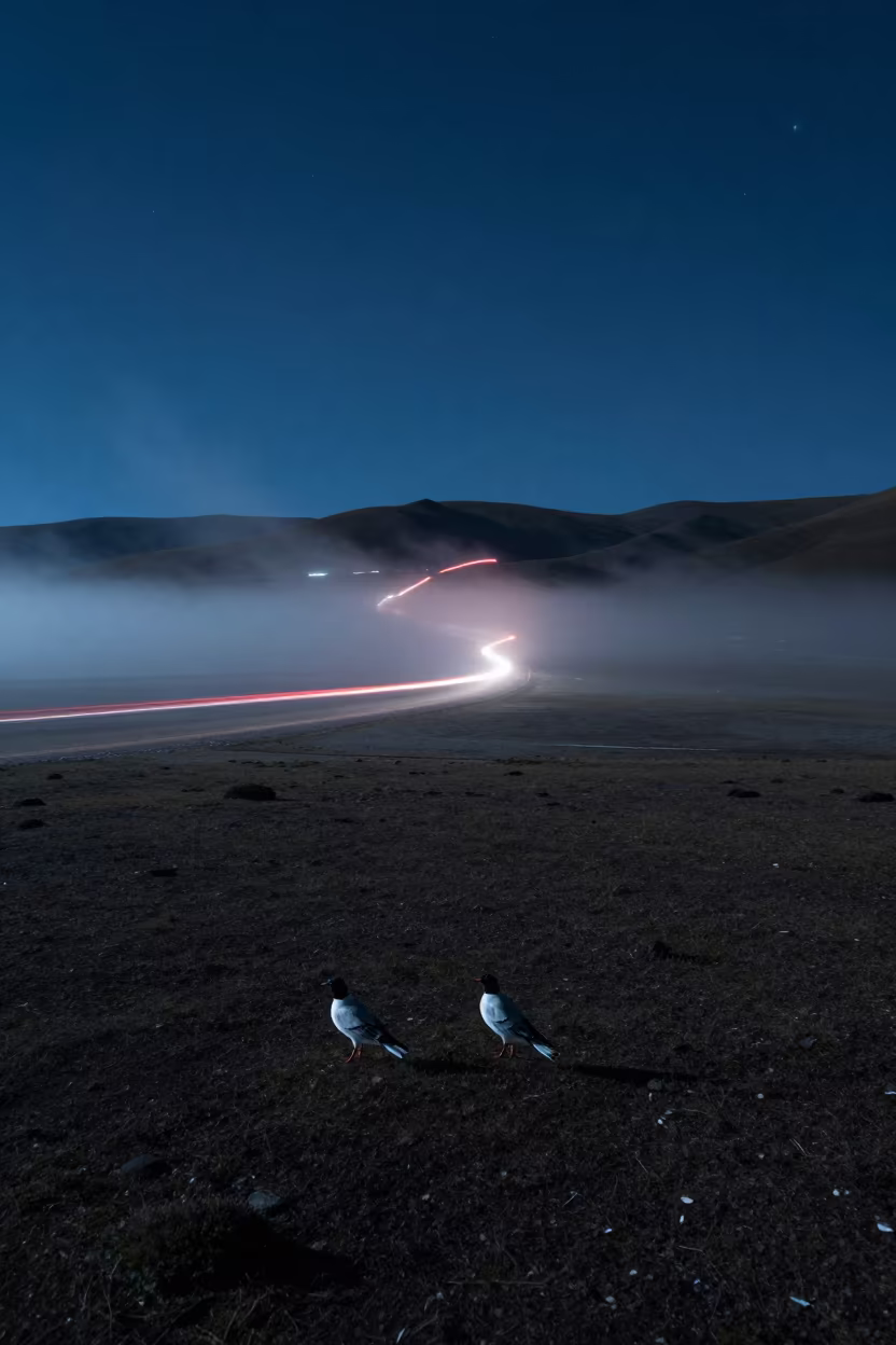 Tail Light Trails Through Fog on Tibetan Plain in across a storm-bright plain in Tibet