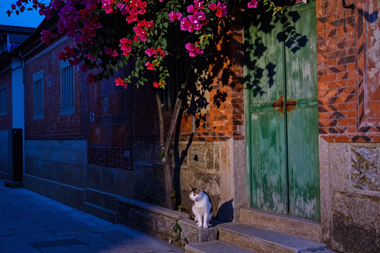 Tainan Cat at Blue Hour in in Tainan, Taiwan