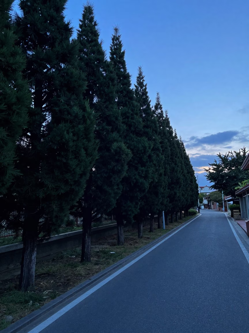 Tainan street scene before dawn with cypress trees and quiet morning activity in in Tainan, Taiwan