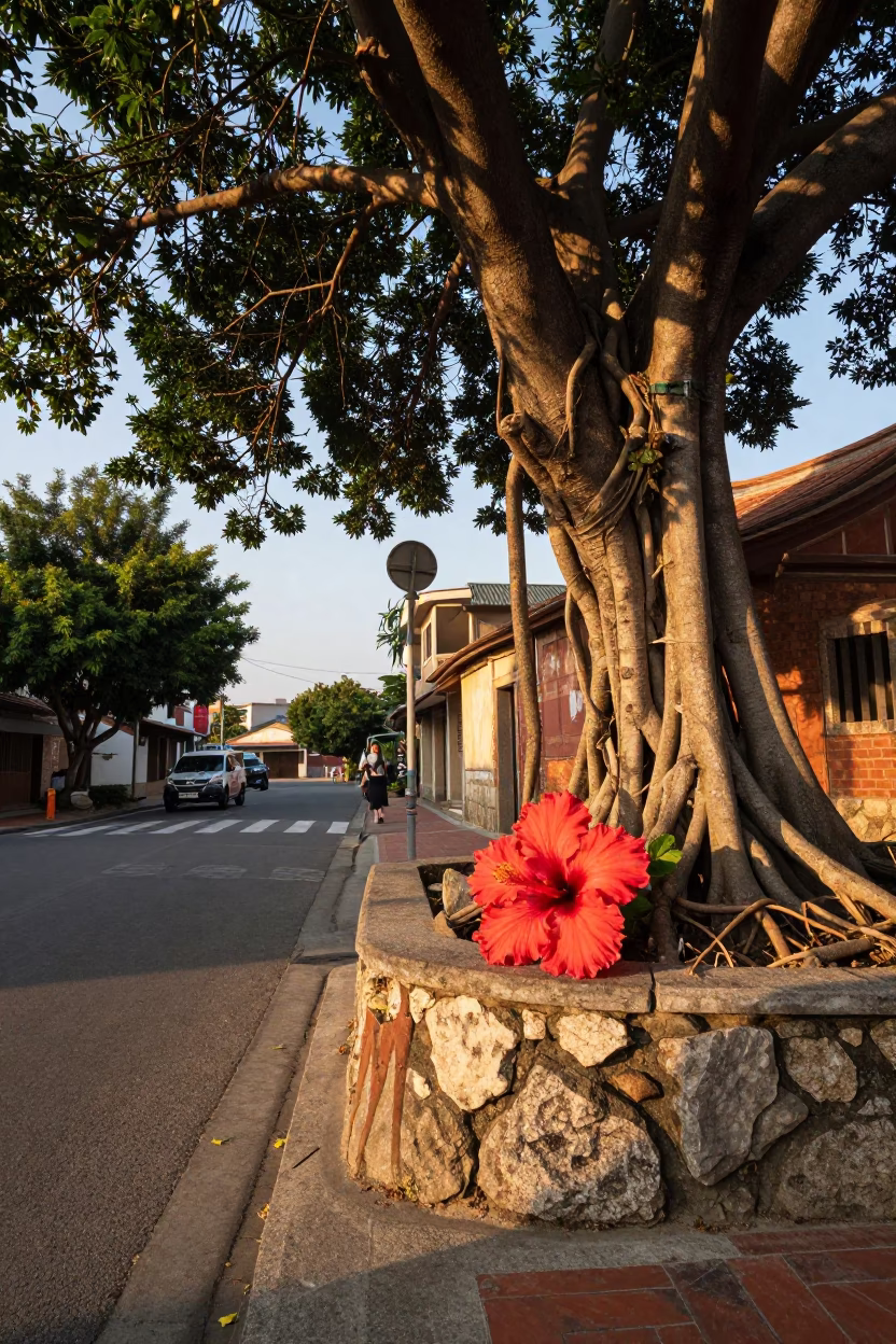 Tainan Taiwan Street Scene at Golden Hour with Hibiscus and Banyan Tree Roots in in Tainan, Taiwan
