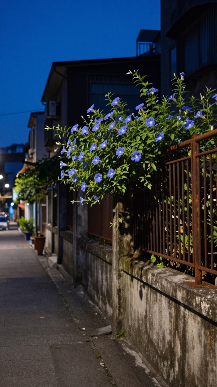 Taipei Evening Street Scene with Morning Glory Fence and Faded Photos in in Taipei, Taiwan