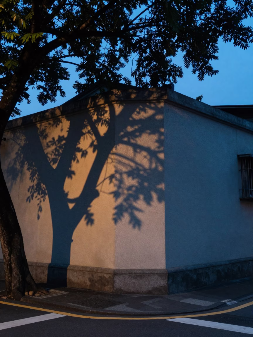 Taipei Street Corner Before Dawn with Leaf Shadows and Street Vendor Setup in in Taipei, Taiwan