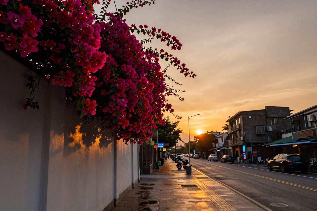 Taipei Street Scene at Sunset with Bougainvillea and Neon Signs in in Taipei, Taiwan