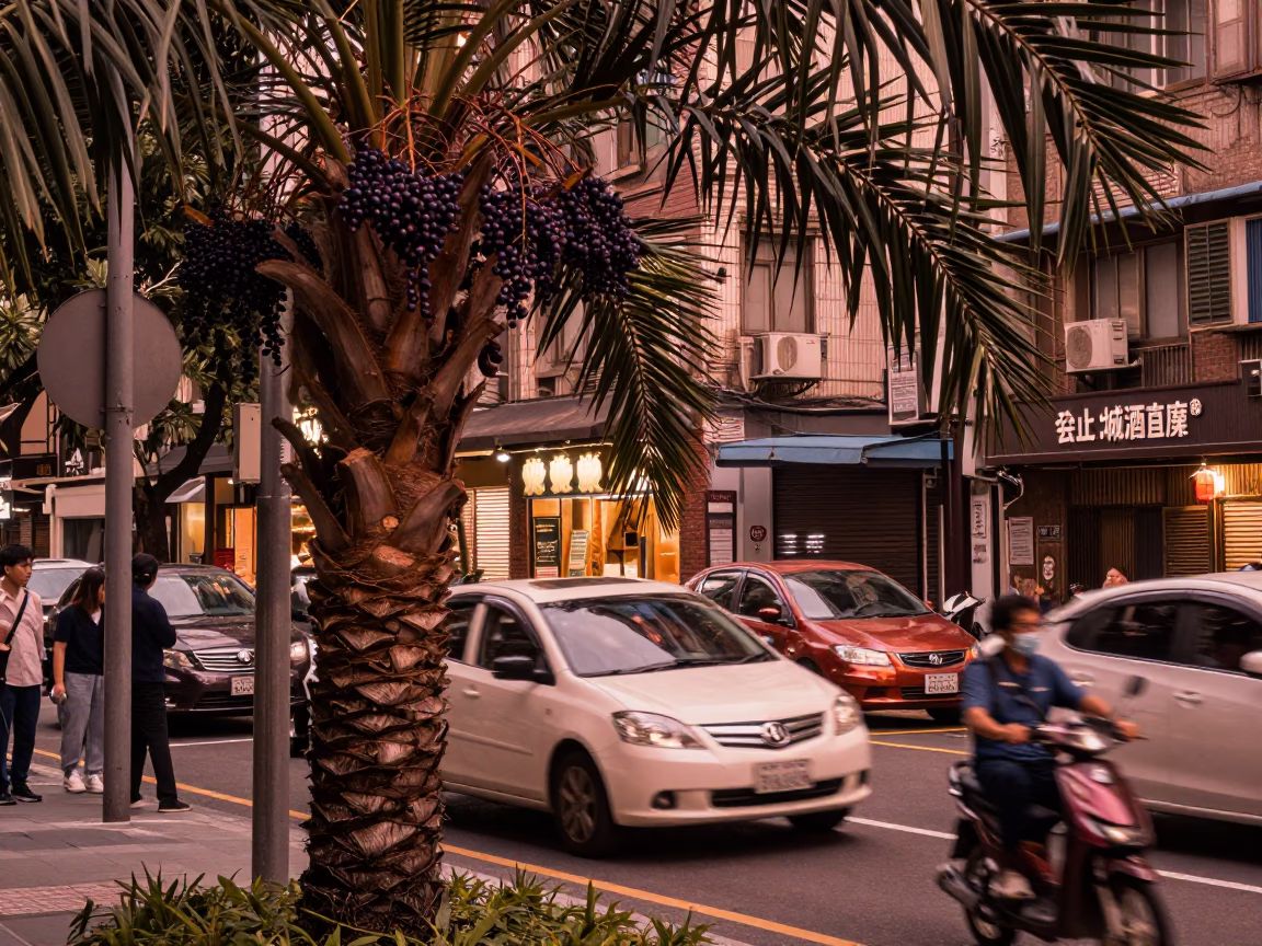 Taipei Street Scene in Copper Dusk Light with Acai Palm and Urban Life in in Taipei, Taiwan