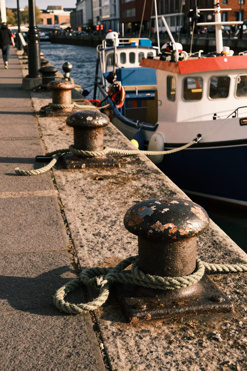 Tangled Rope in Dublin in in Dublin, Ireland