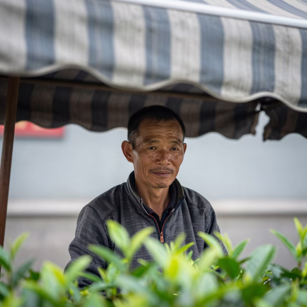 Tea Farmer Under Striped Awning at Noon in under a striped market awning near Chengdu
