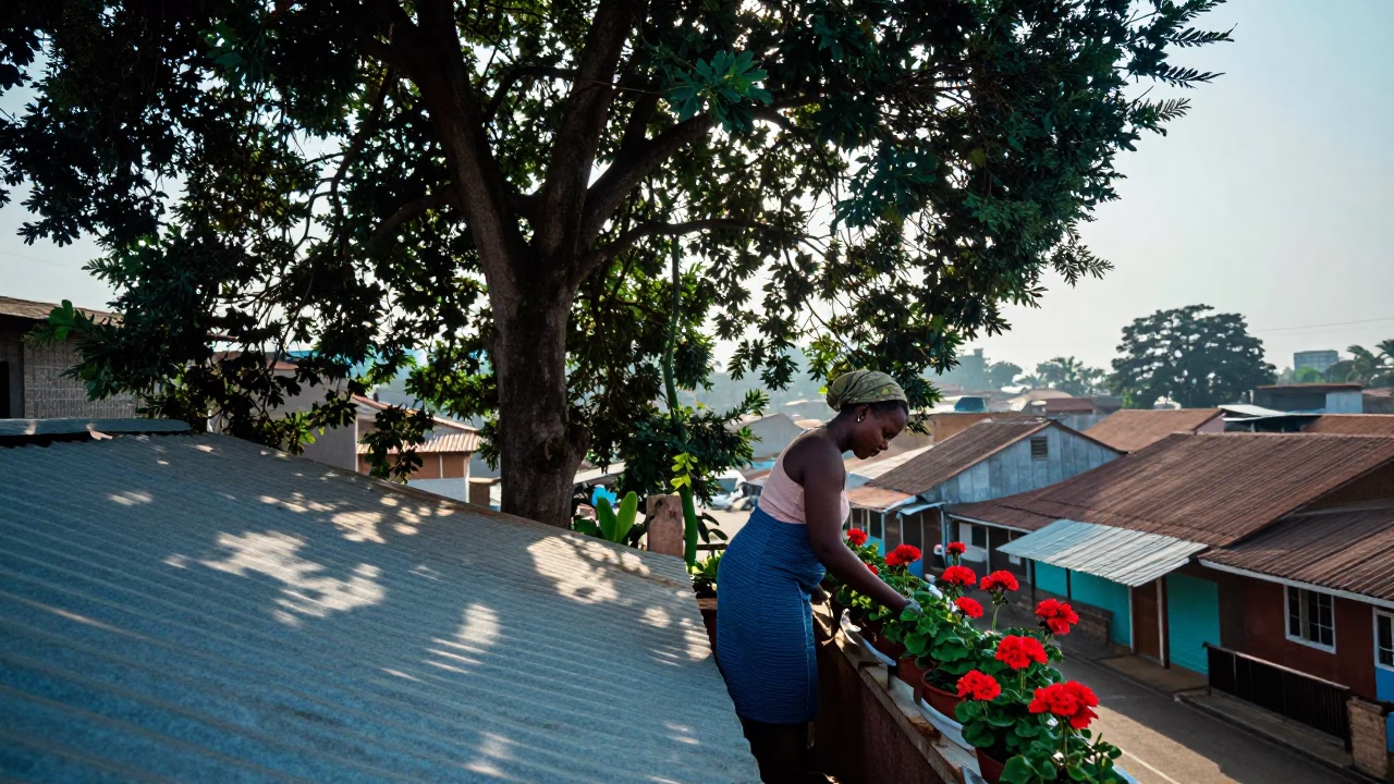 Tending Geraniums in Accra in in Accra, Ghana