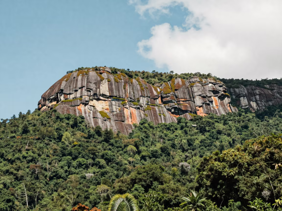 Tepui Mountain Above Cloud Forest in Venezuela in along a wave-cut shoreline near Boudhanath, Kathmandu