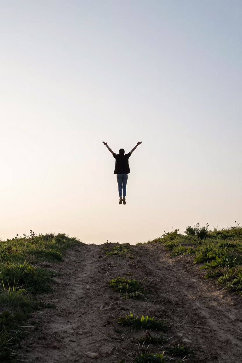Tern Hovering Dawn Light Over Diyarbakır Trail in along a game trail near Diyarbakır